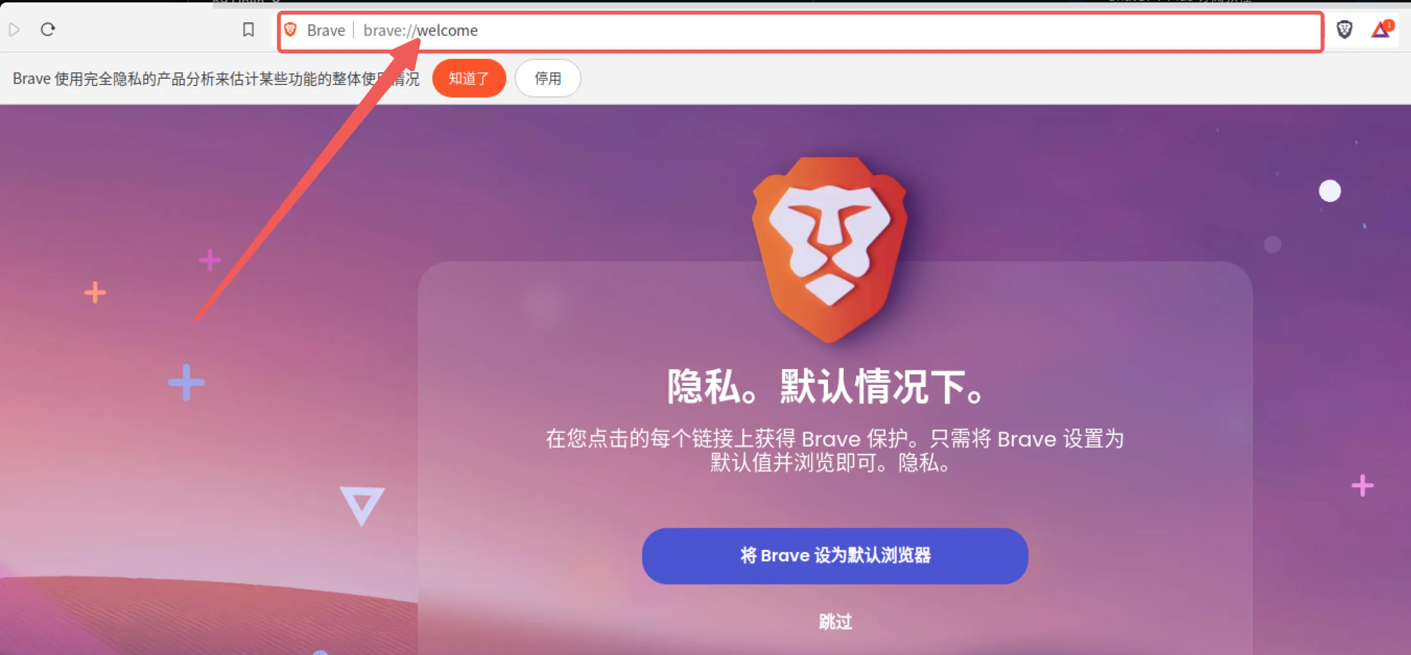 远程浏览器环境