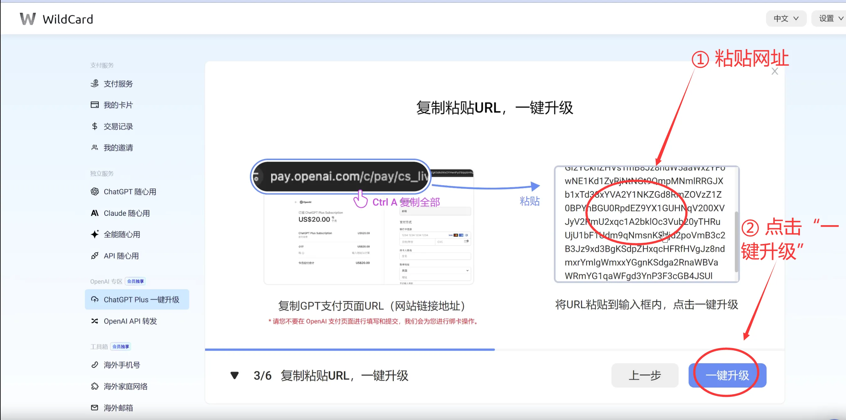 粘贴网址