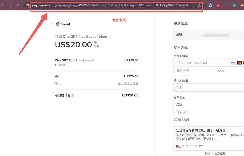 支付页面截图