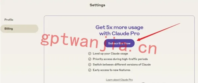 订阅Claude Pro