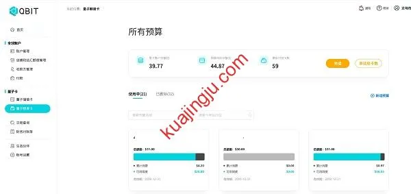 Qbit虚拟卡471880