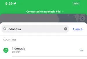 VPN