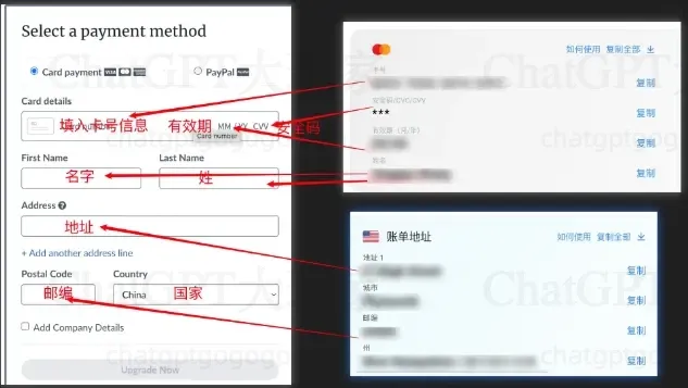 使用 野卡 支付 Overleaf