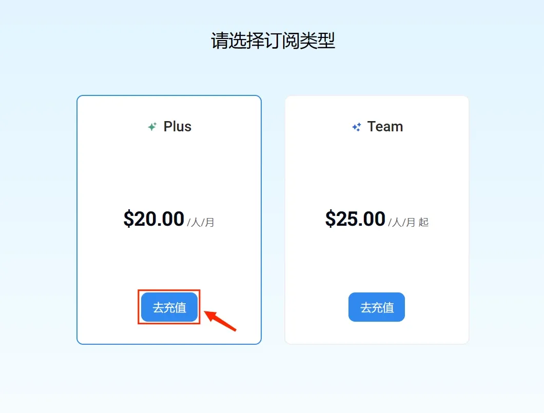 支付成功