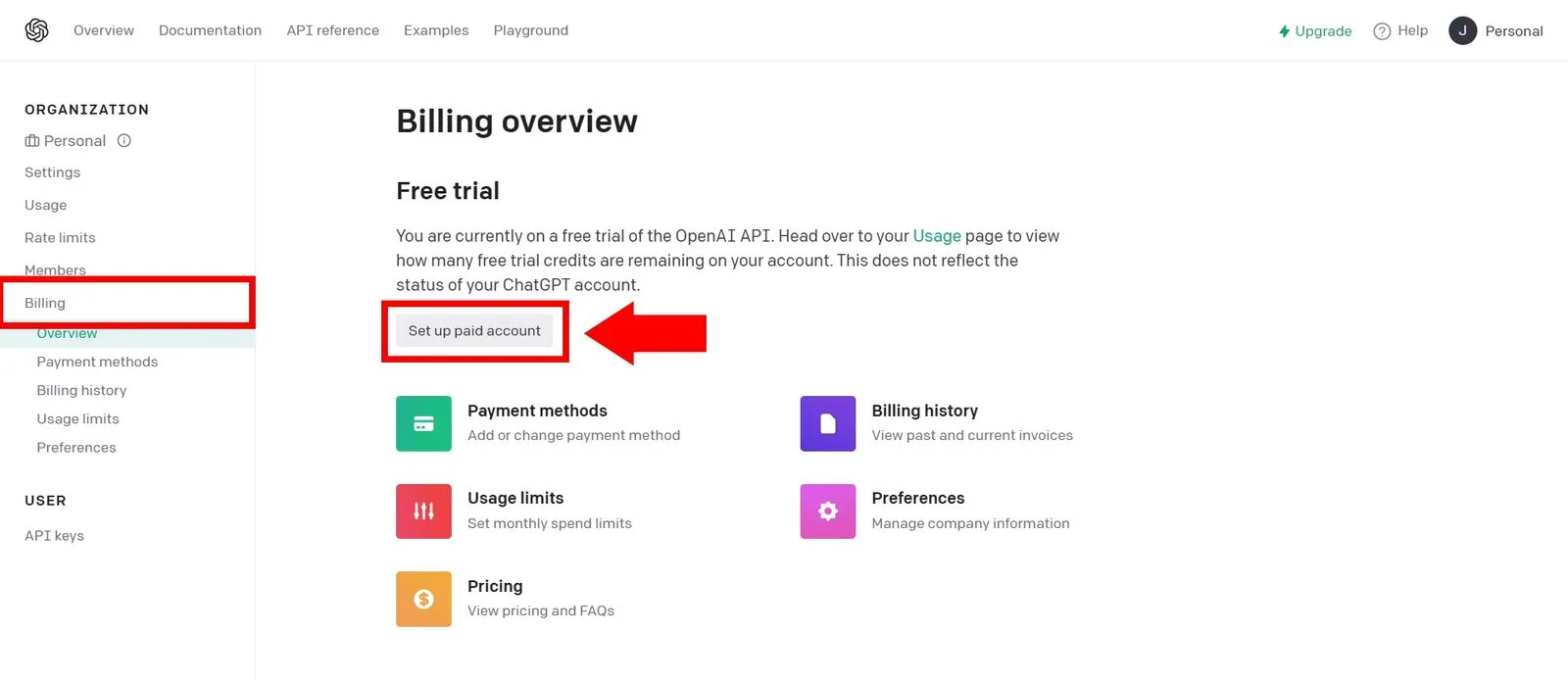 付费使用 OpenAI