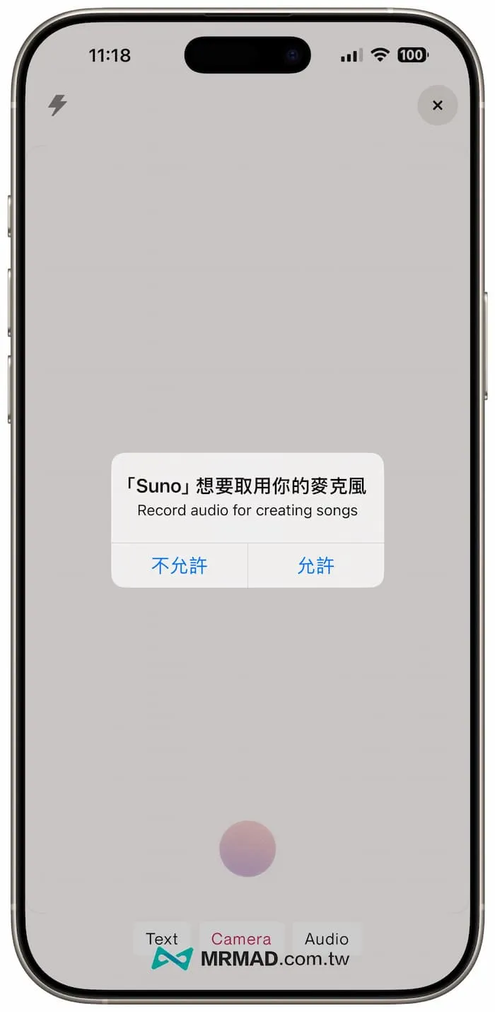 Suno AI 權限設定