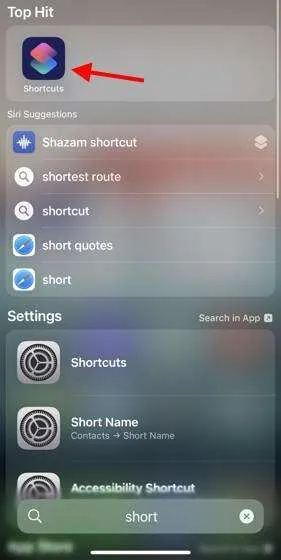 Siri Pro快捷方式
