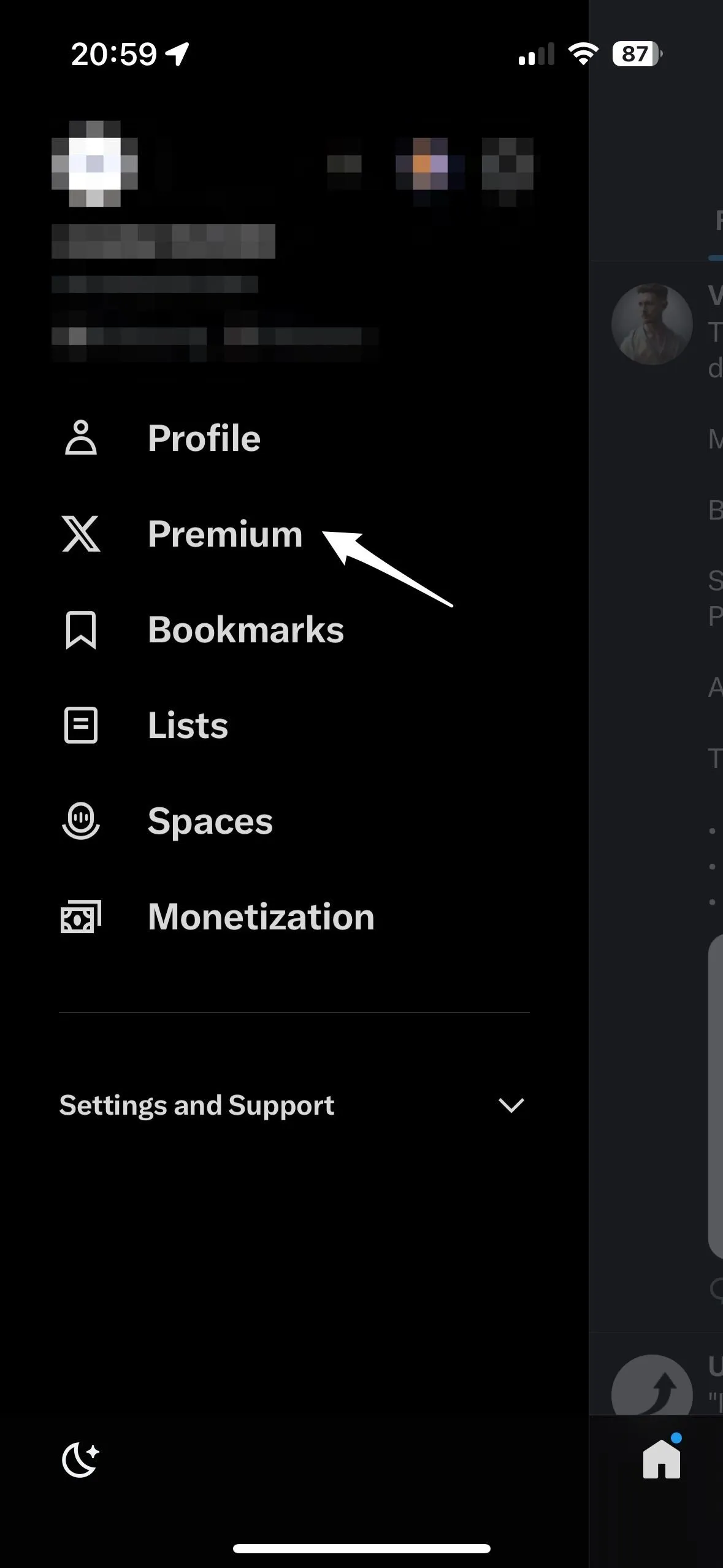 X Premium 订阅界面