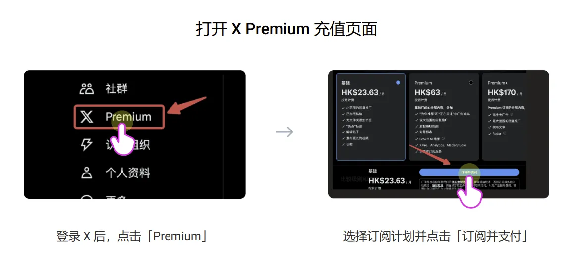 X/Twitter Plan 页面