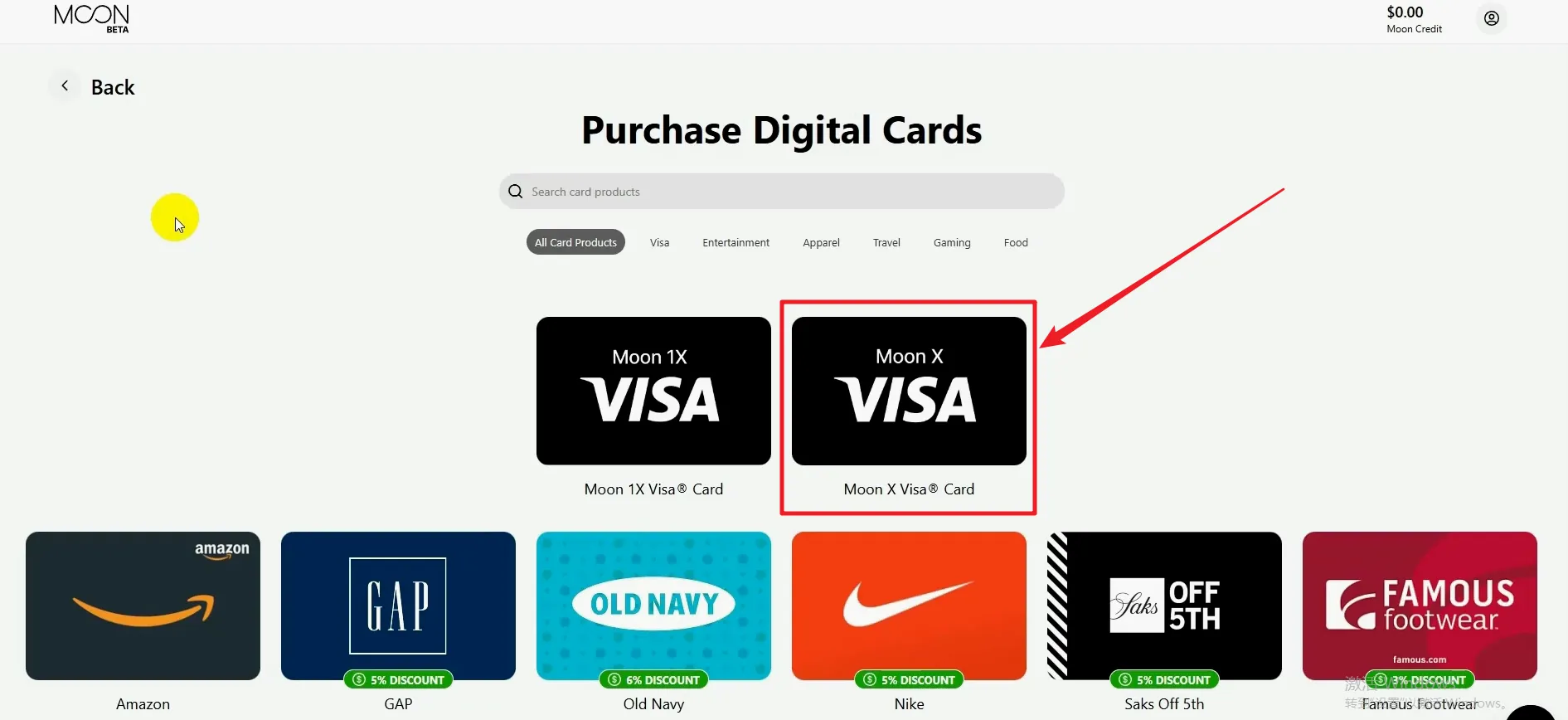 Moon X Visa 卡界面
