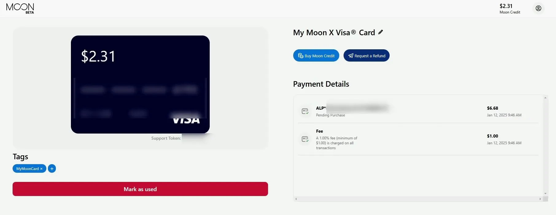 PayWithMoon 虚拟卡界面